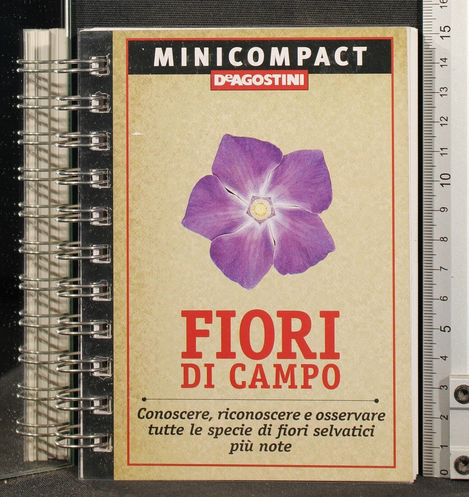 Fiori di campo. Conoscere, riconoscere e osservare tutte le specie di fiori selvatici più note Leisure, Home & Garden