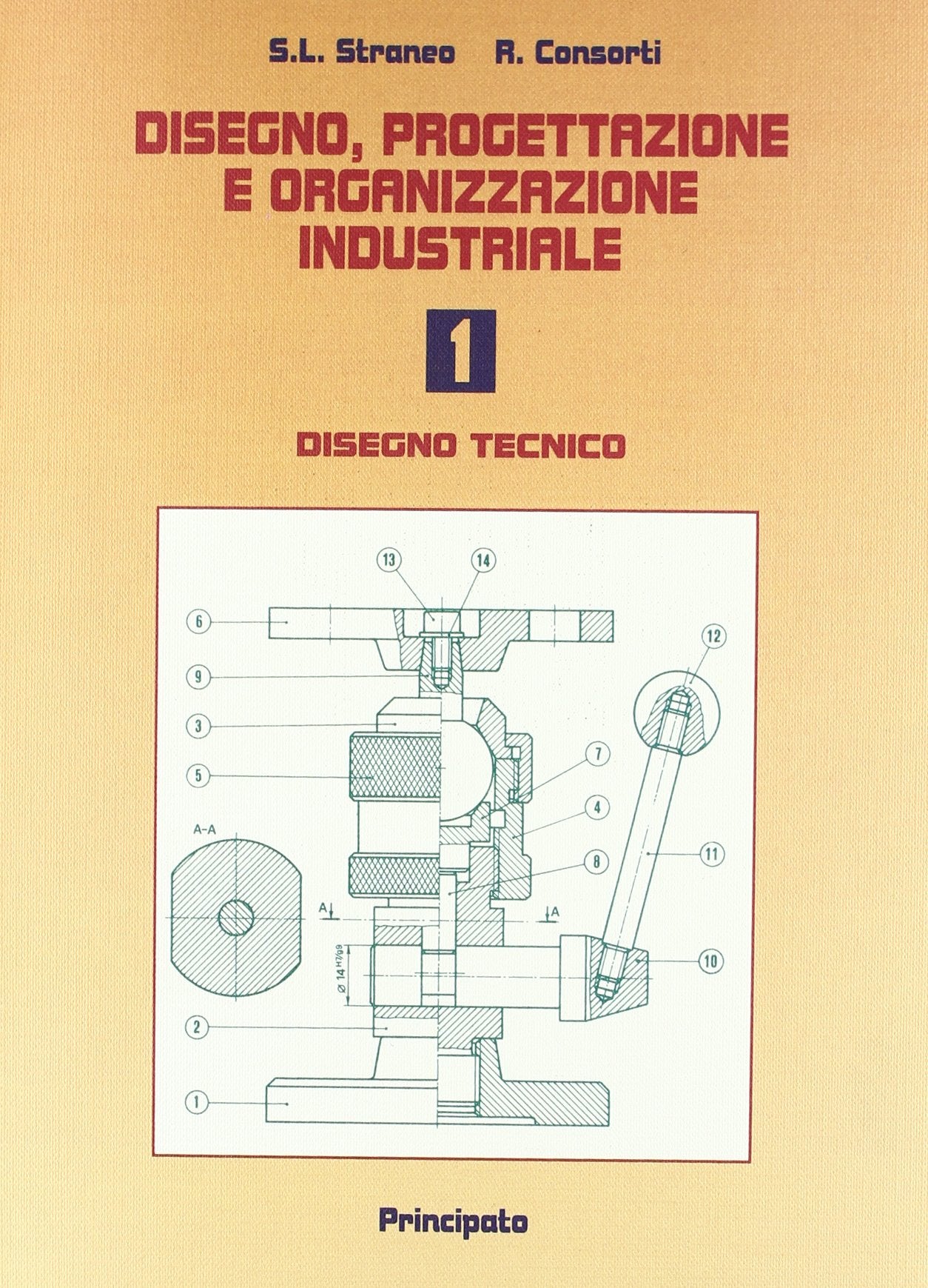 Disegno, progettazione e organizzazione industriale. Per le Scuole superiori. Con espansione online. Disegno tecnico (Vol. 1) Study Guides