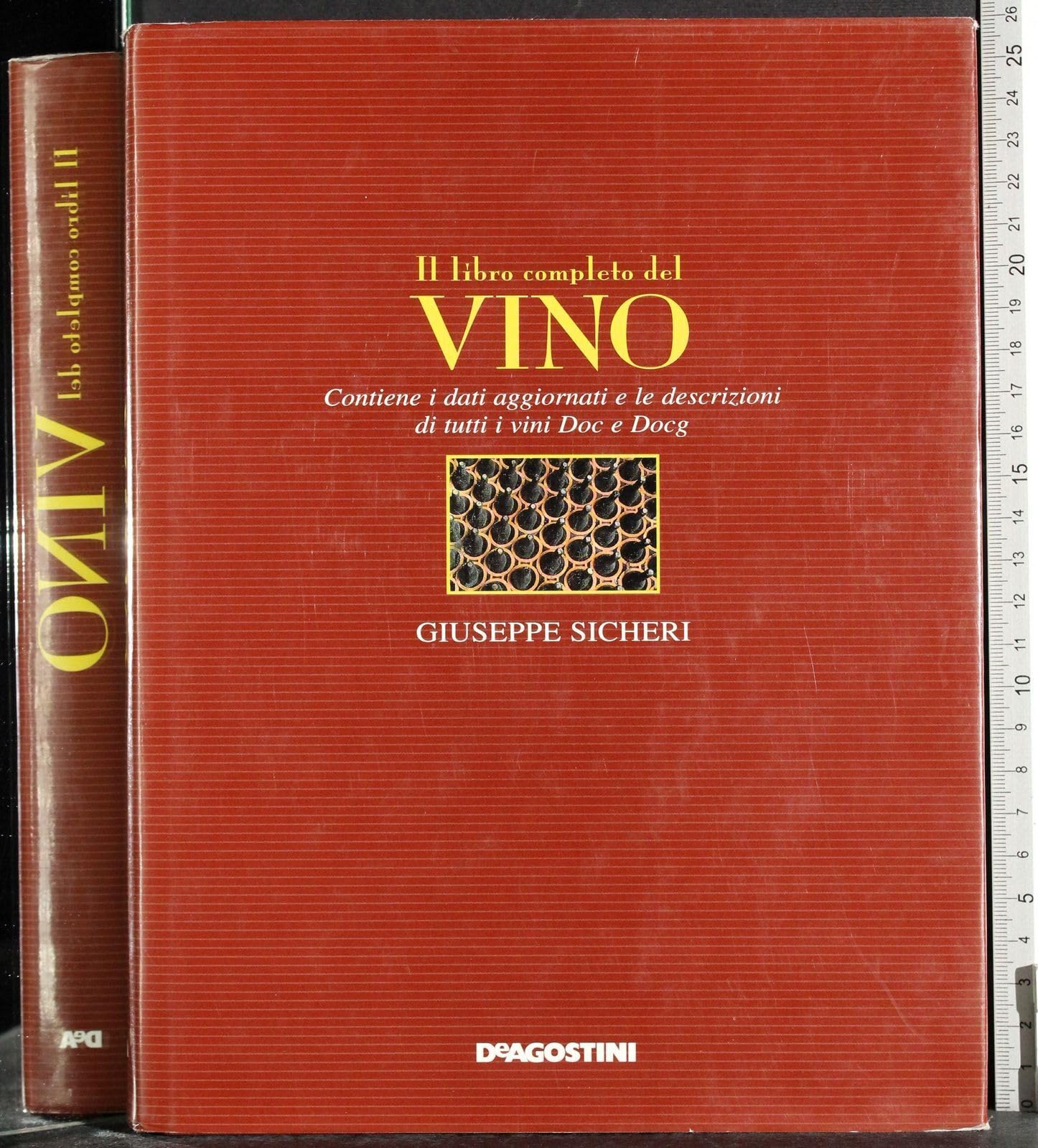 Il libro completo del vino. Con i dati aggiornati e le descrizioni di tutti i vini DOC e DOCG book