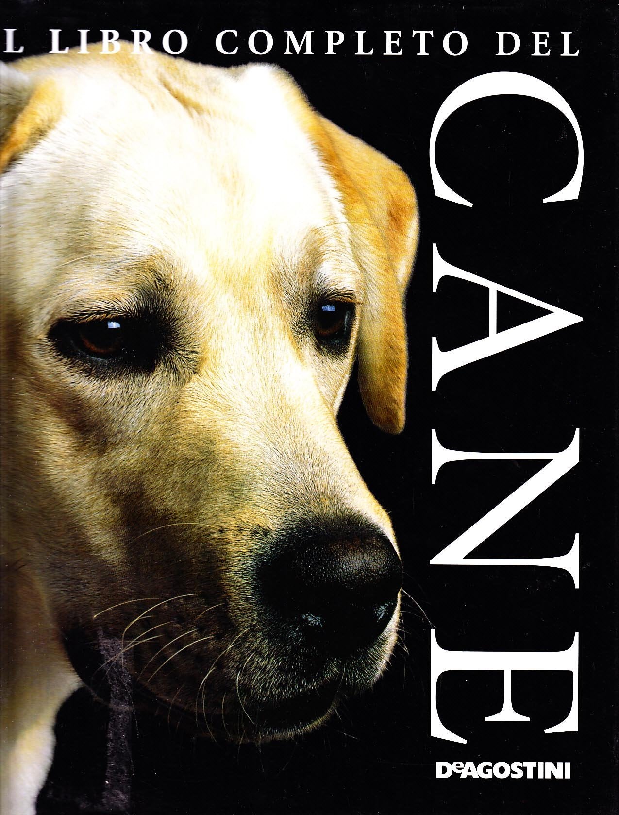 Il libro completo del cane Books about Pets