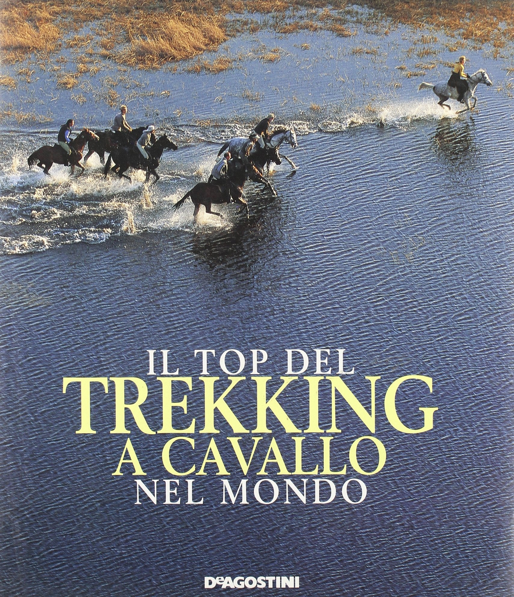 Il top del trekking a cavallo nel mondo book
