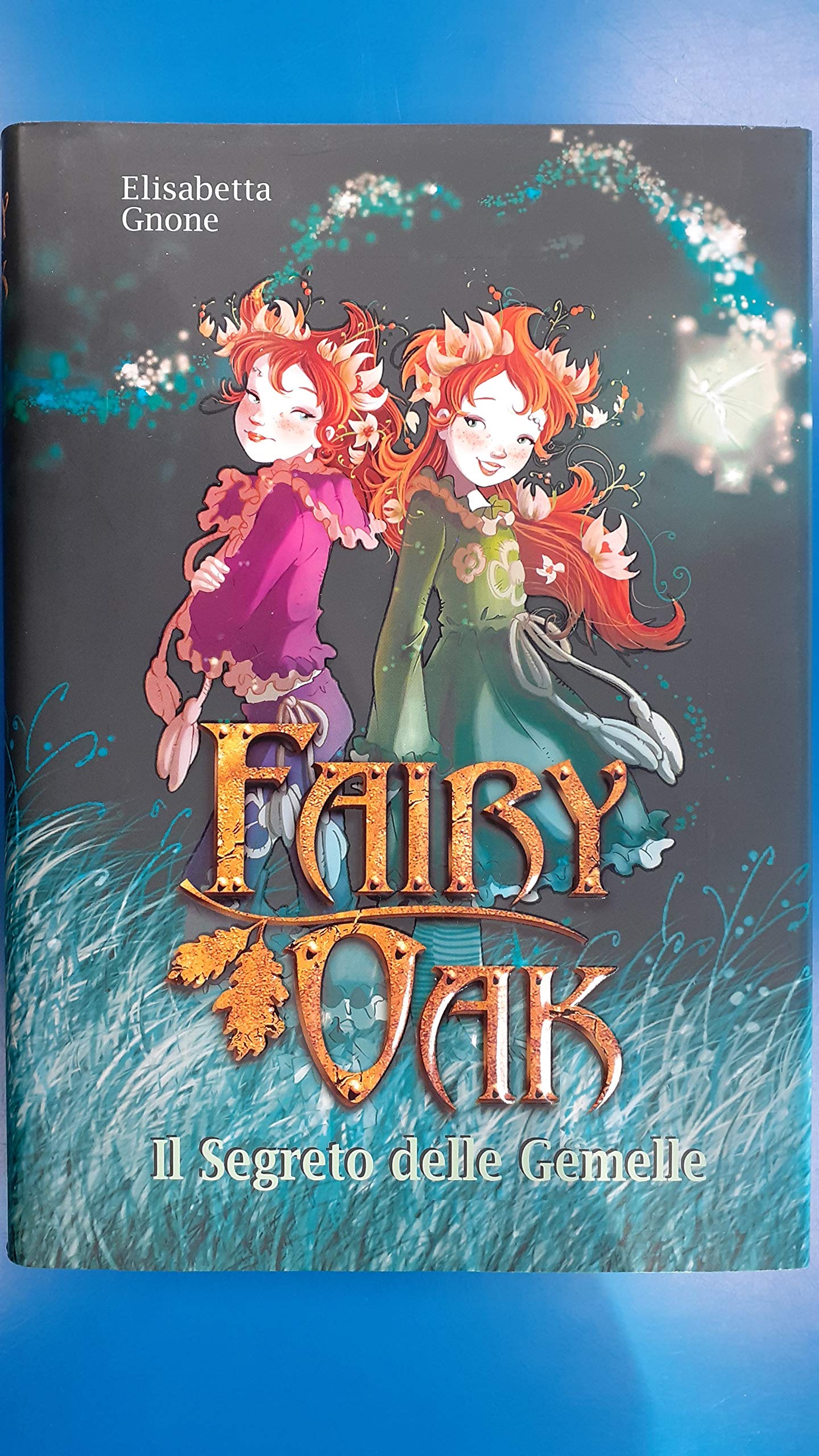Il segreto delle gemelle. Fairy Oak book