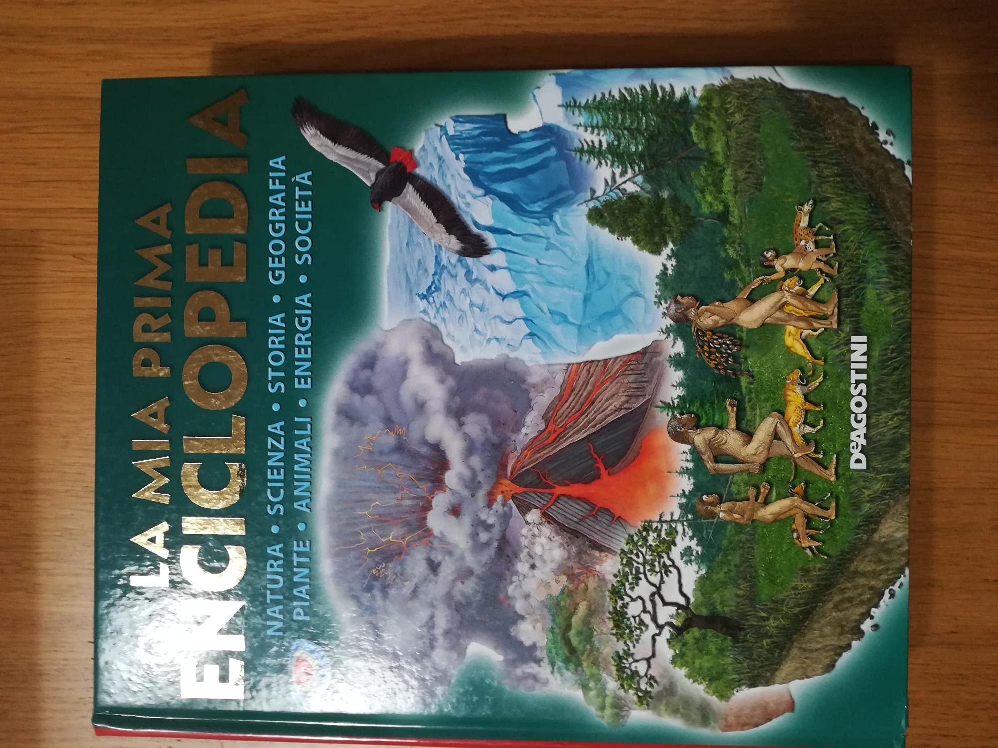 La mia prima enciclopedia. Natura, scienza, storia, geografia, piante, animali, energia, società book