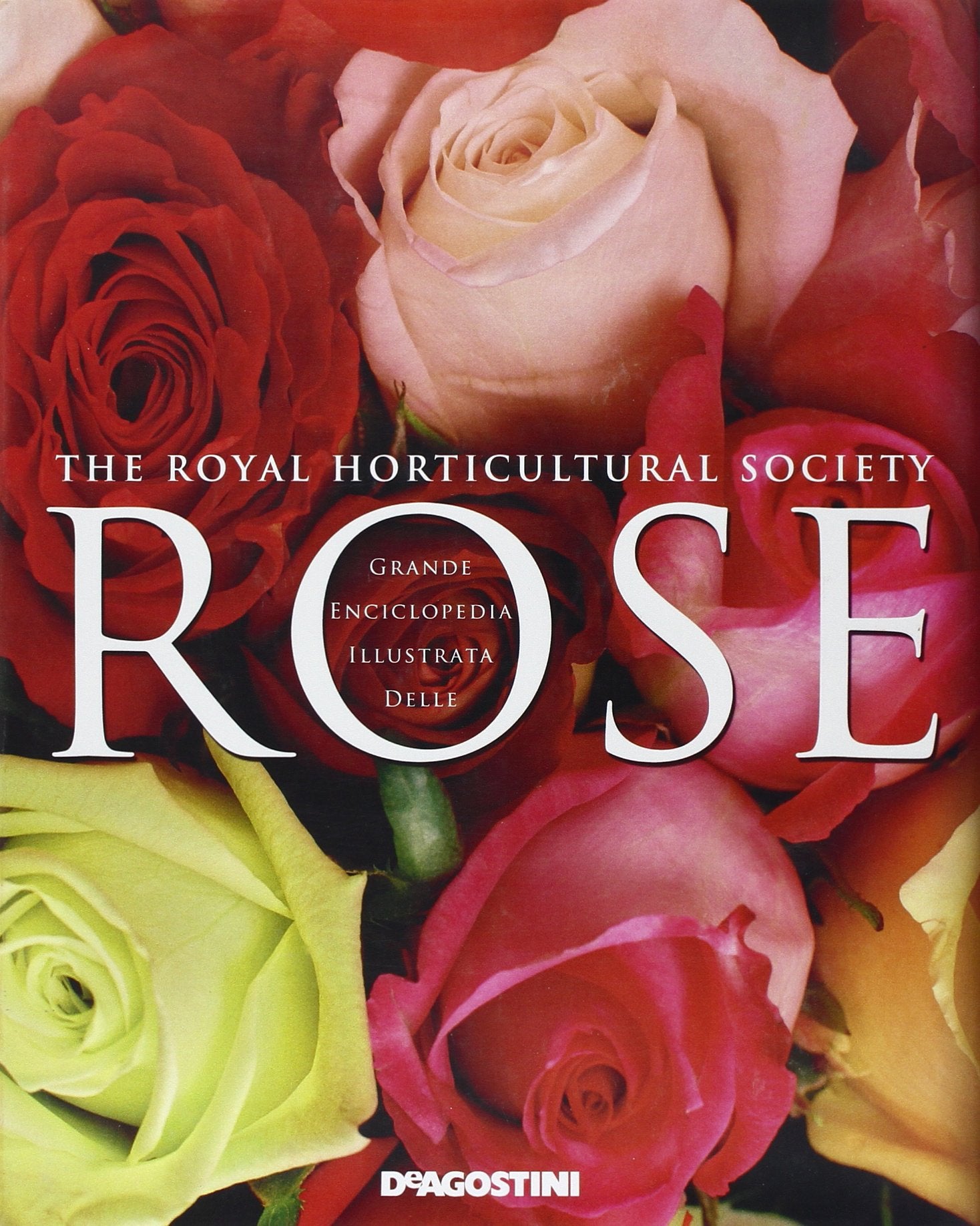 Grande enciclopedia illustrata delle rose. Ediz. illustrata book