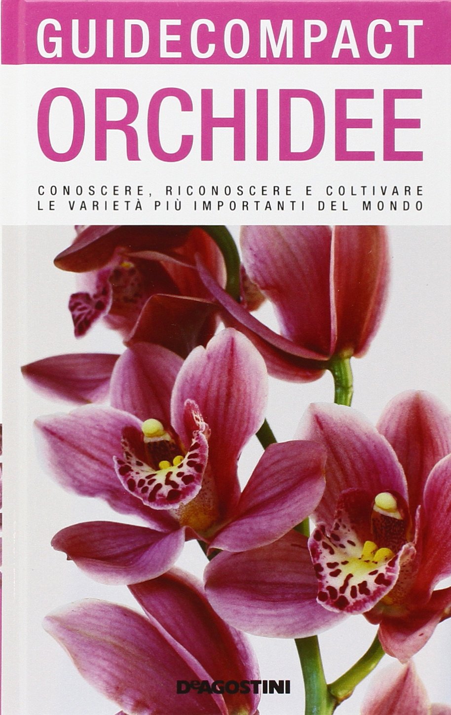 Orchidee. Conoscere, riconoscere e coltivare le varietà più importanti del mondo. Ediz. illustrata book