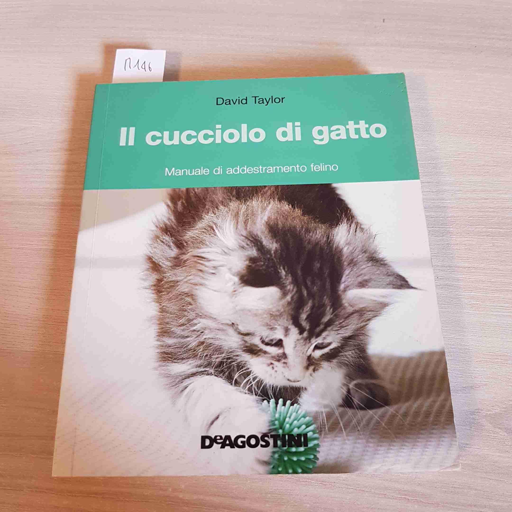 Il cucciolo di gatto. Manuale di addestramento felino. Ediz. illustrata Pets