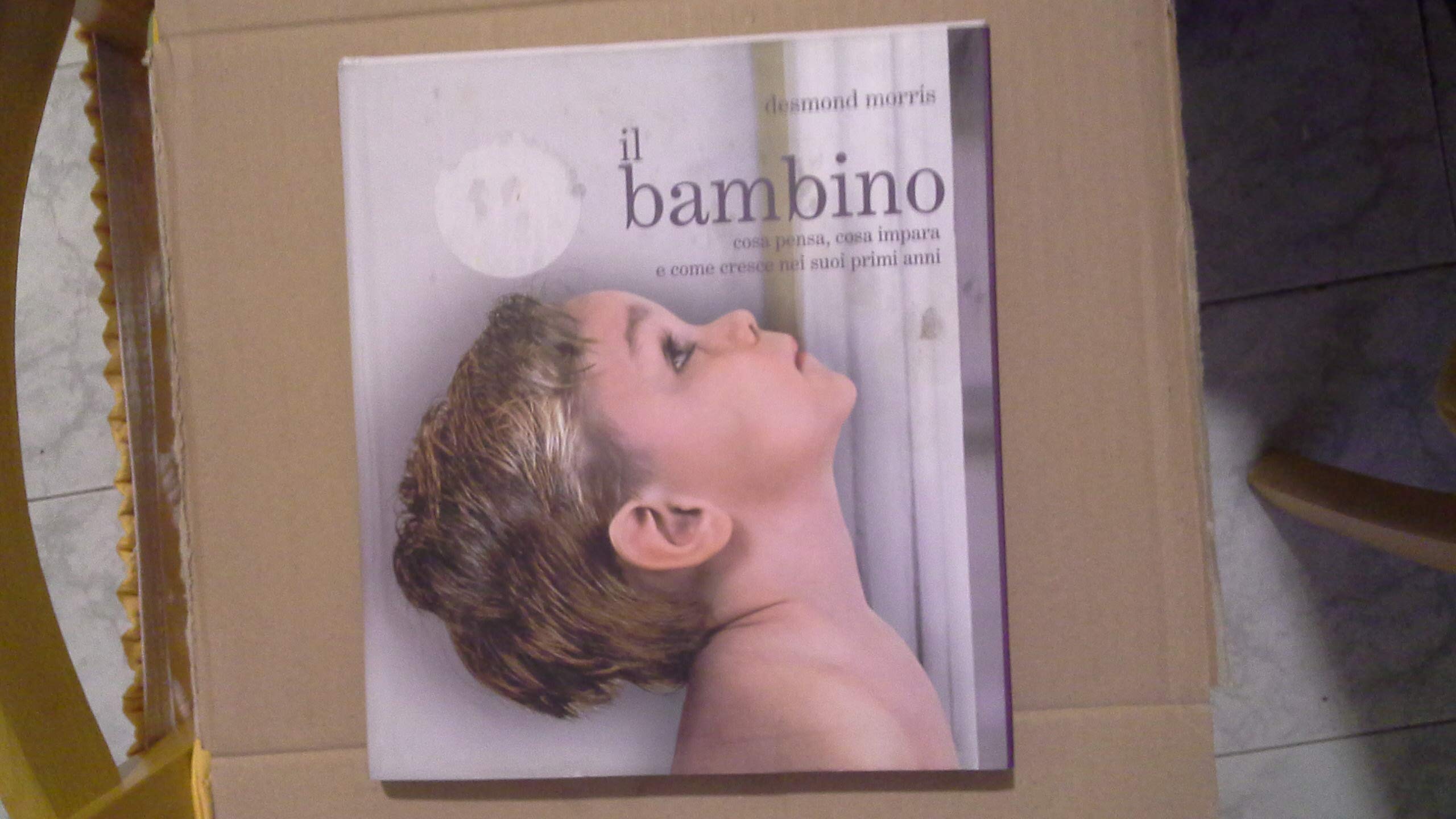 Il bambino. Cosa pensa, cosa impara e come cresce nei suoi primi anni book