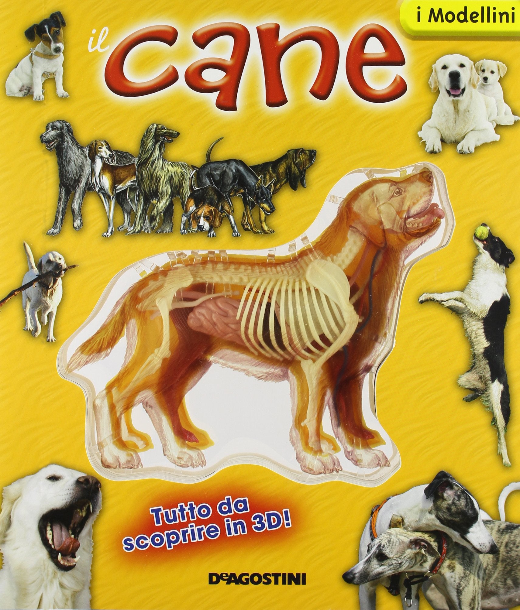 Il cane. Con gadget Non-fiction