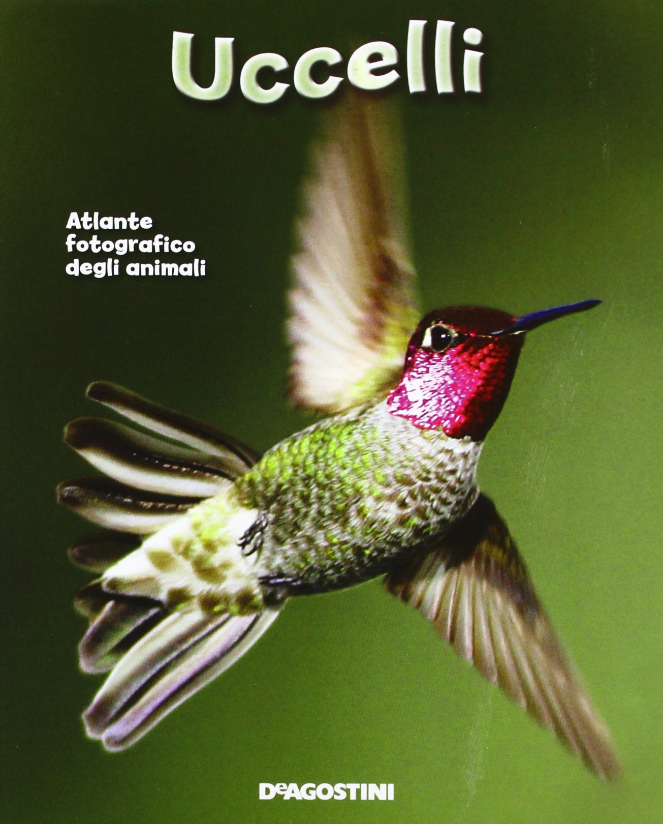 Uccelli. Atlante fotografico degli animali book