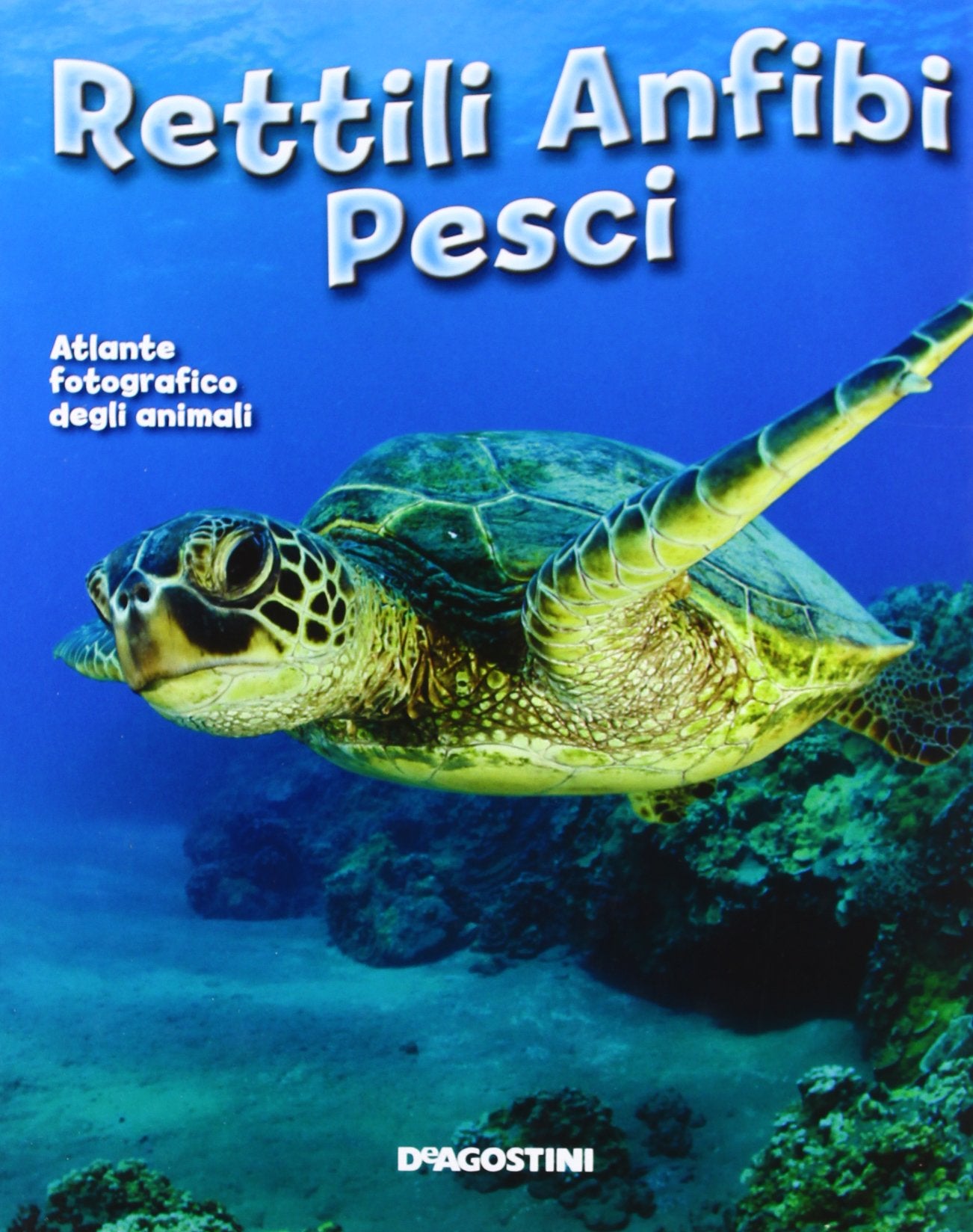 Rettili, anfibi, pesci. Atlante fotografico degli animali book