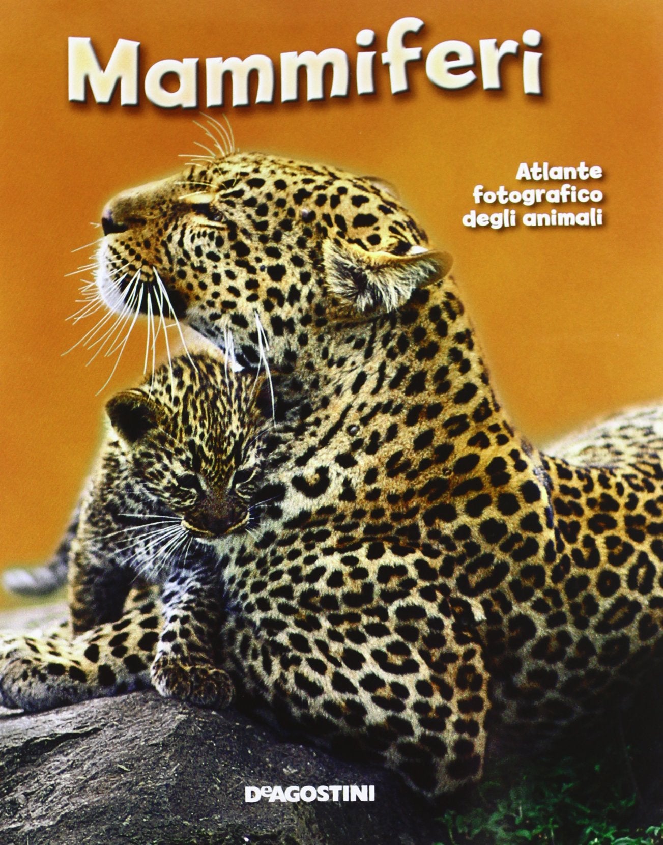 Mammiferi. Atlante fotografico degli animali book