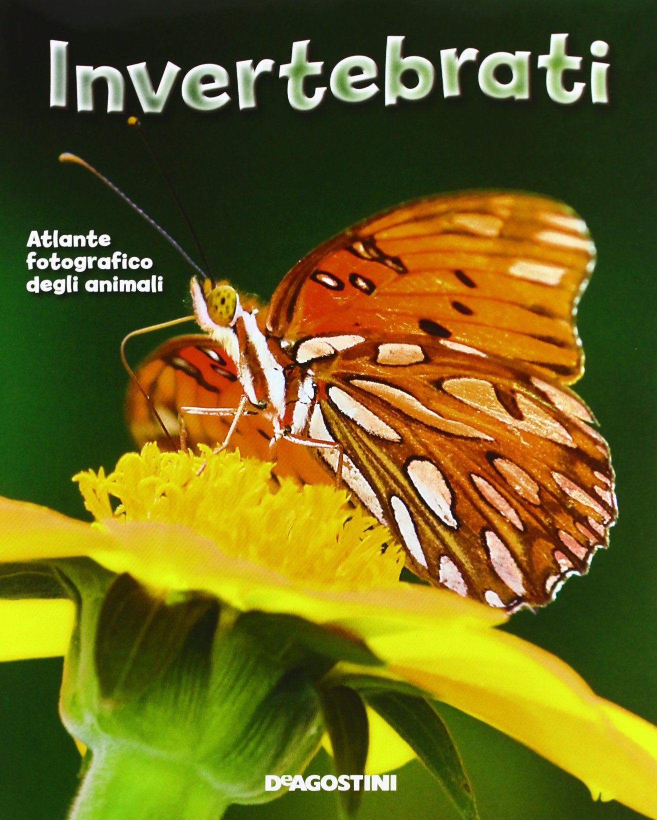 Invertebrati. Atlante fotografico degli animali (Enciclopedia illustrata) Non-fiction