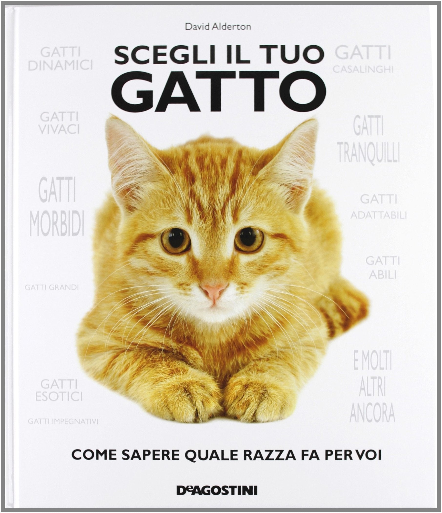 Scegli il tuo gatto. Come sapere quale razza fa per voi Pets