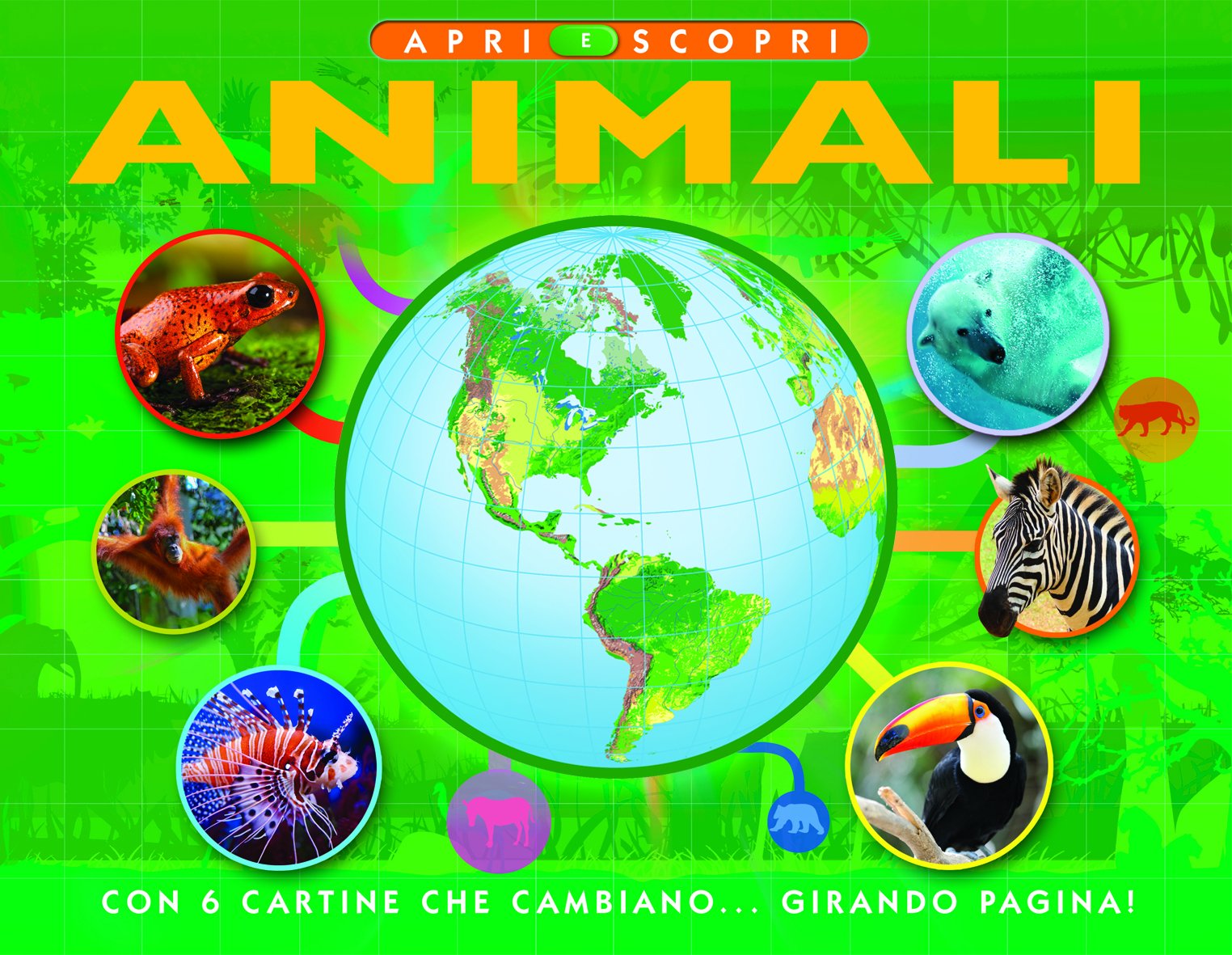 Animali. Apri e scopri. Ediz. illustrata book