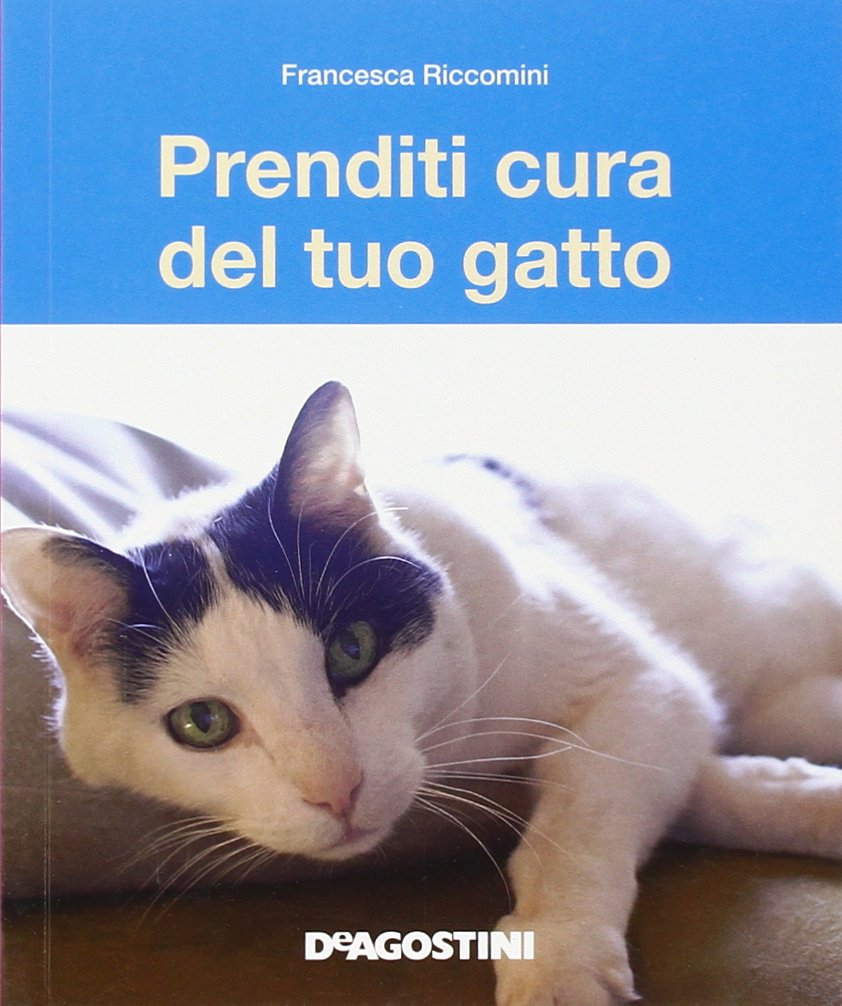 Prenditi cura del tuo gatto. Tutto ciò che dovete sapere Pets