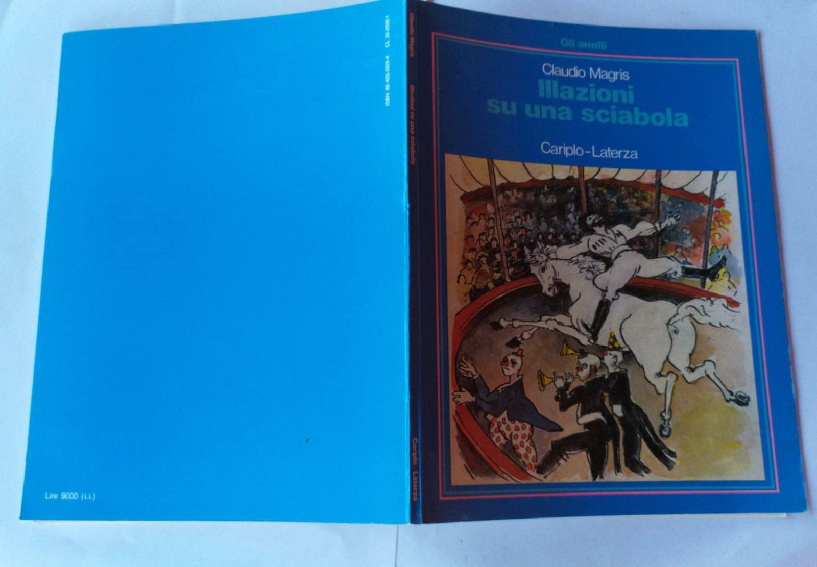 Illazioni su una sciabola (Gli anelli) Contemporary literature
