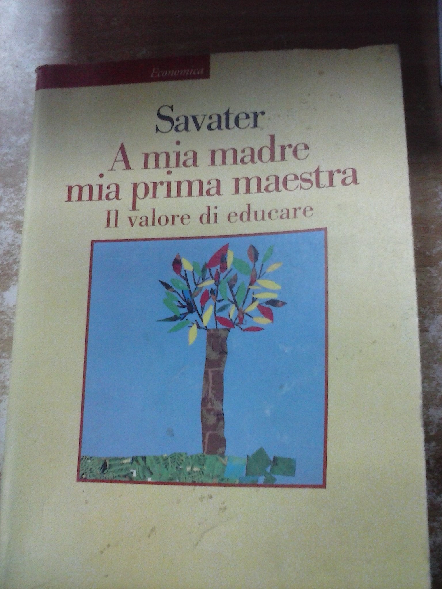 A mia madre mia prima maestra. Il valore di educare Philosophy