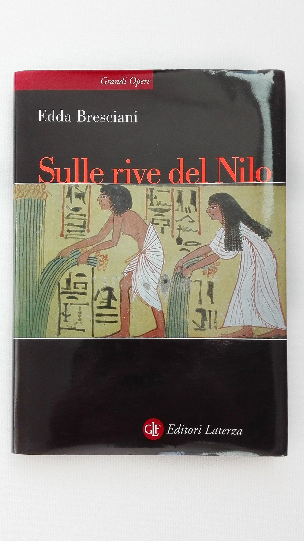 Sulle rive del Nilo. L'Egitto al tempo dei faraoni (Grandi opere) Religion & Esotericism