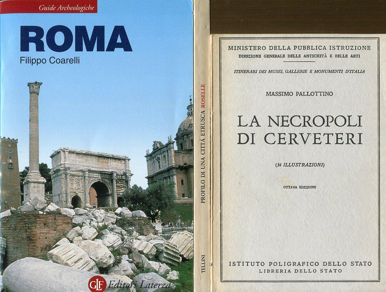 Roma (Guide archeologiche Laterza) Leisure, Home & Garden