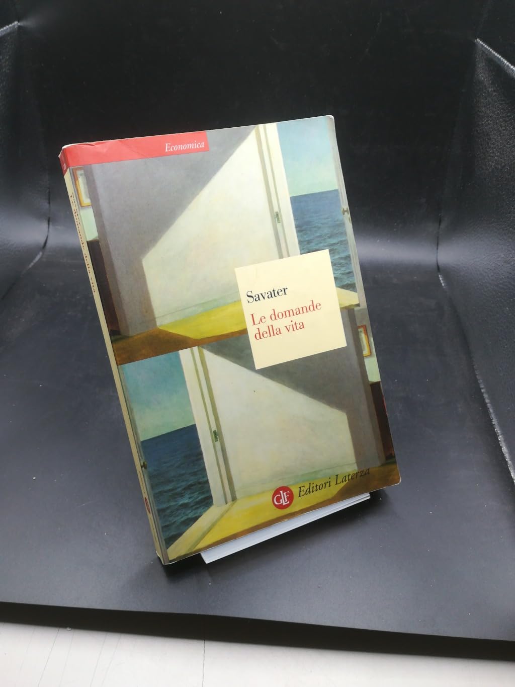Le domande della vita (Economica Laterza) Philosophy