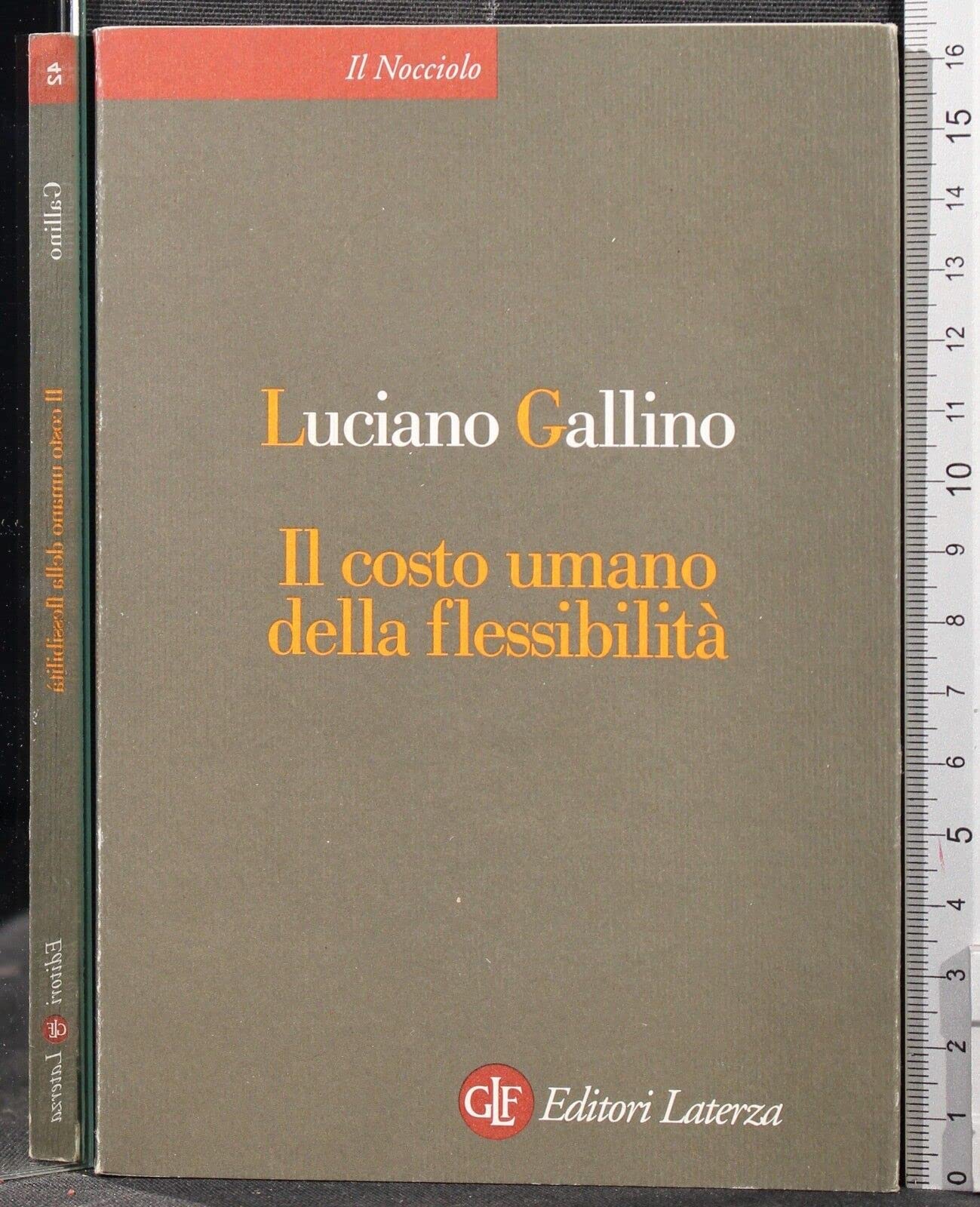 Il costo umano della flessibilità book