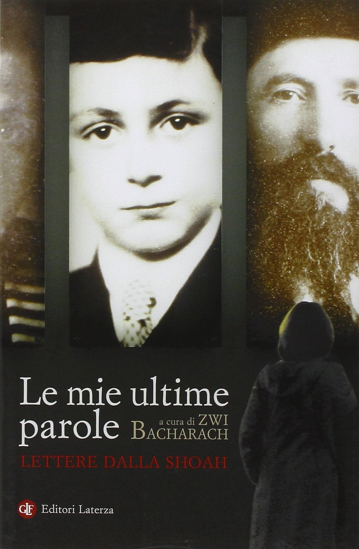 Le mie ultime parole. Lettere dalla Shoah book