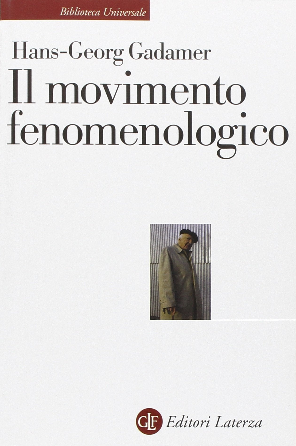 Il movimento fenomenologico book