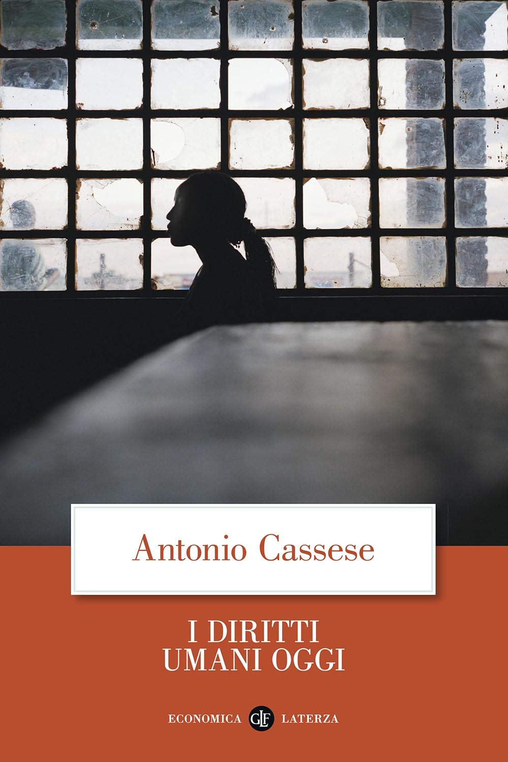 I diritti umani oggi (Economica Laterza) Law