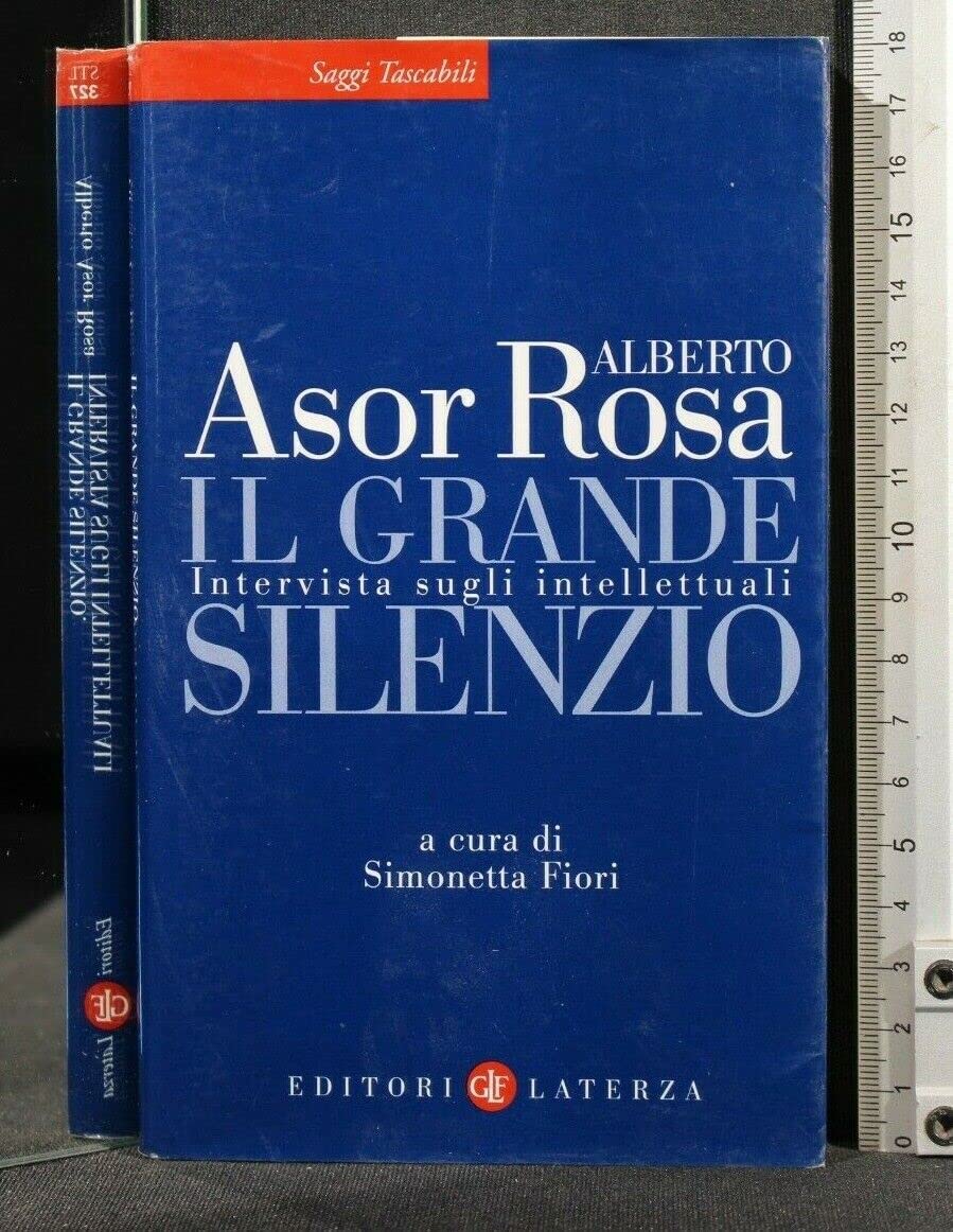 Il grande silenzio. Intervista sugli intellettuali book