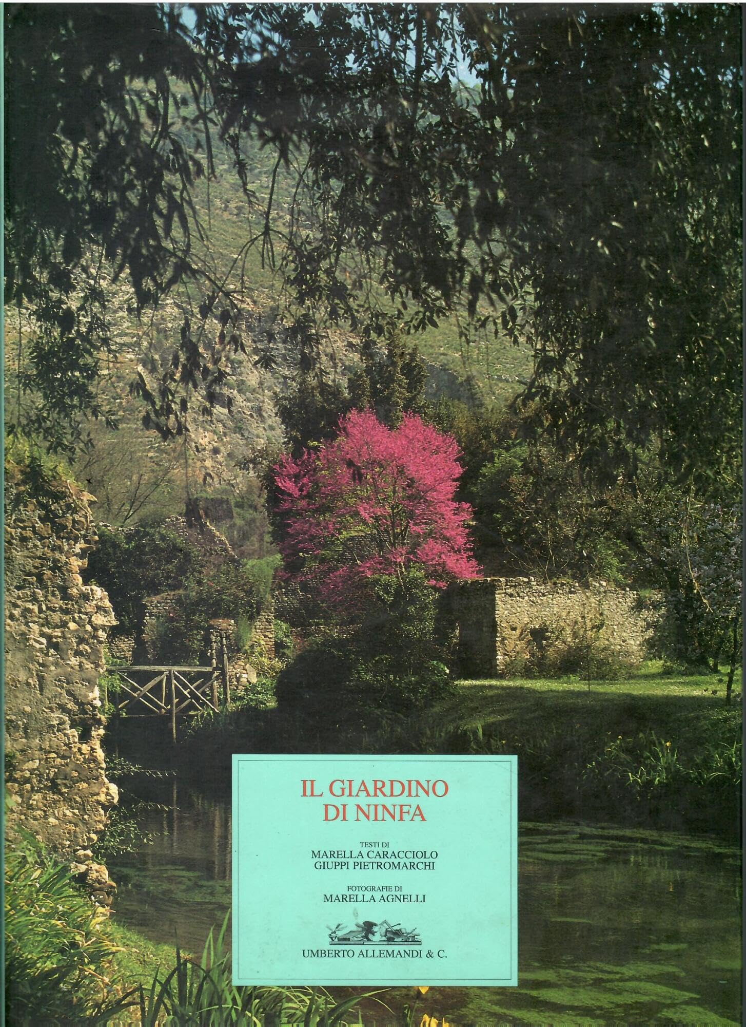 Il giardino di Ninfa. Ediz. illustrata (I fiori, le piante e i giardini) Architecture