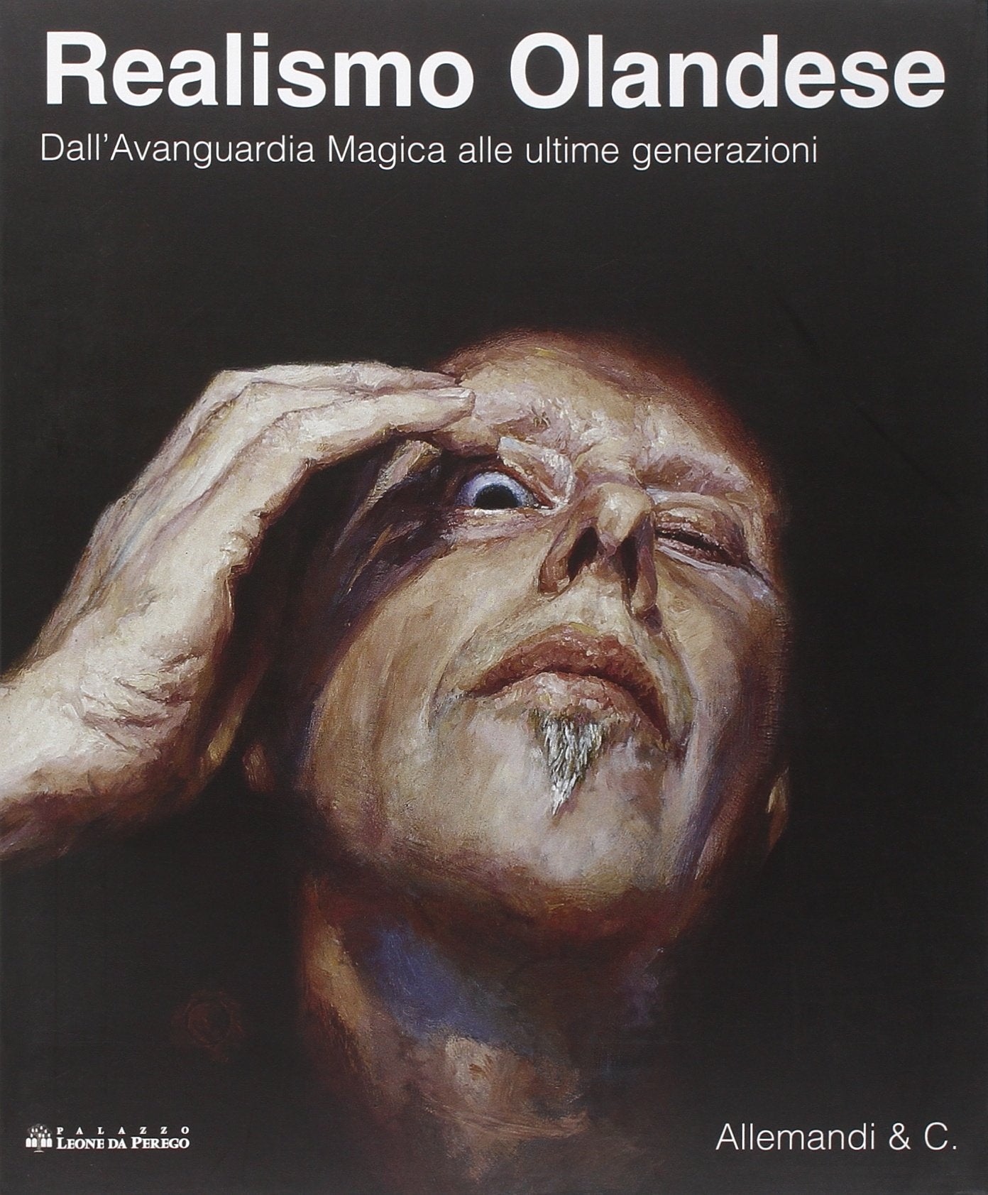 Il realismo olandese. Dall'Avanguardia Magica alle ultime generazioni. Catalogo della mostra (Legnano, 23 febbraio-20 aprile 2008). Ediz. italiana e inglese Film, Art & Culture