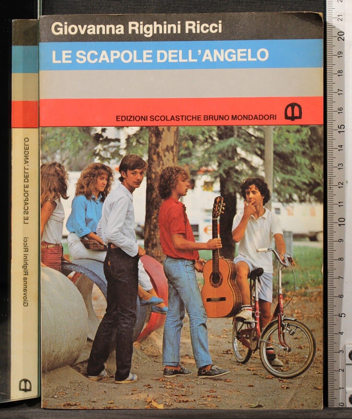 Le scapole dell'angelo book