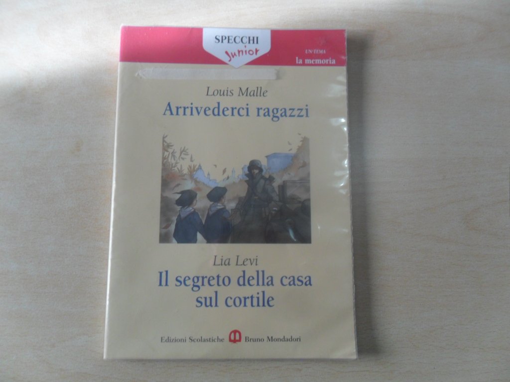 Arrivederci ragazzi-Il segreto della casa sul cortile. Roma (1943-1944) Professional & Reference Books