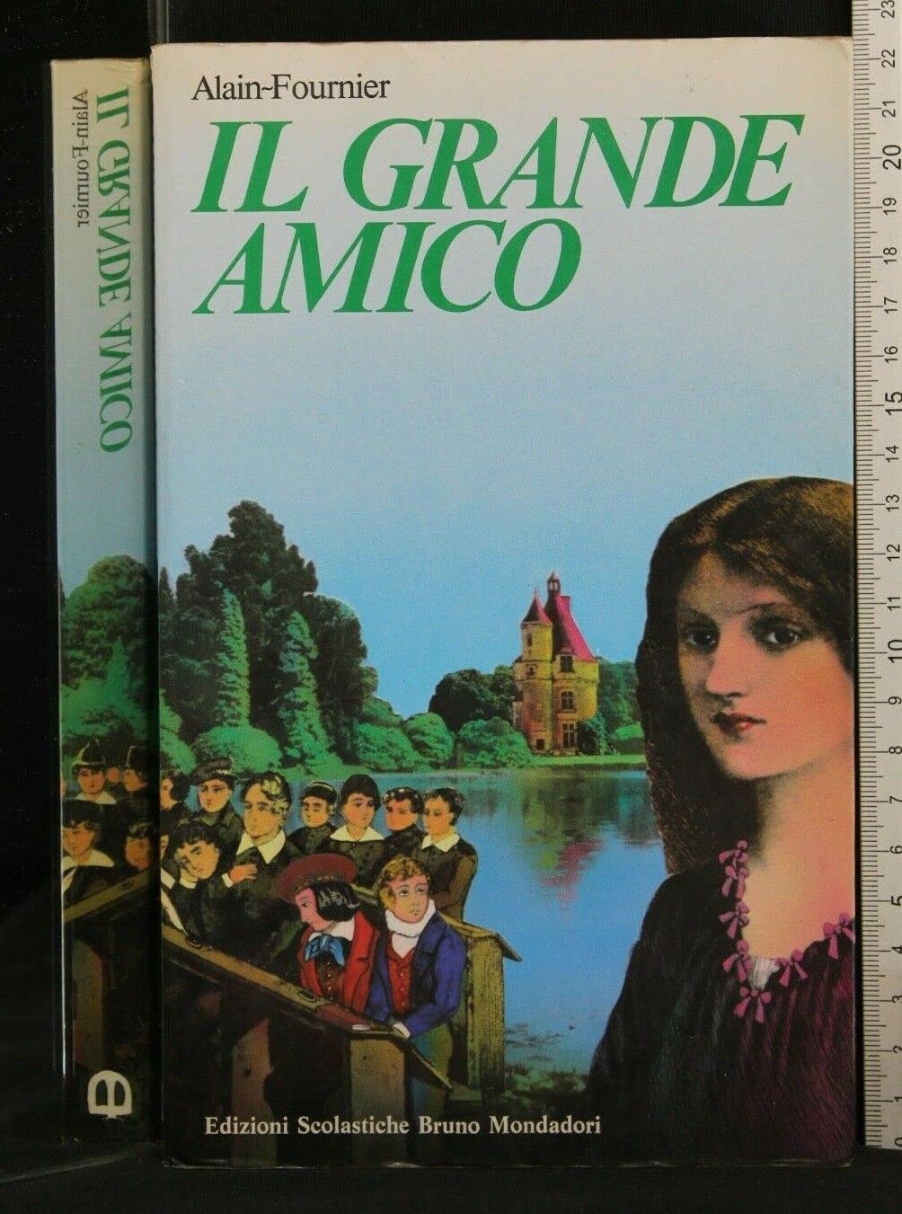 Il grande amico (Bottega del romanzo) Professional & Reference Books