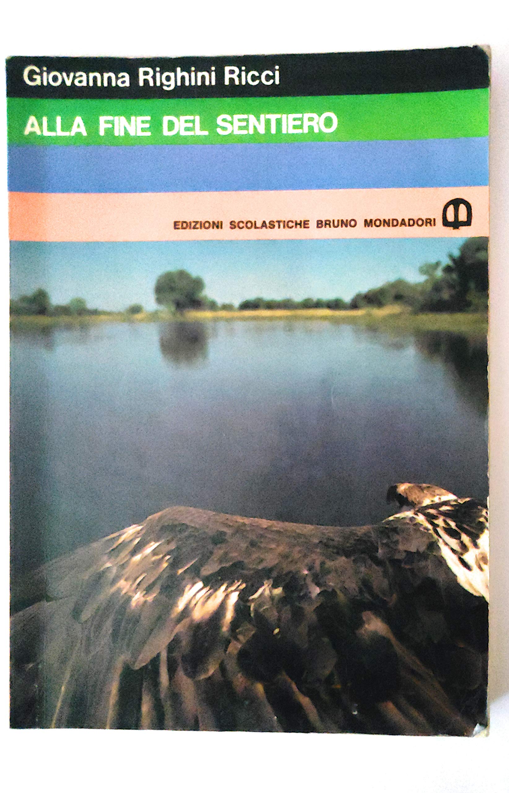 Alla fine del sentiero book