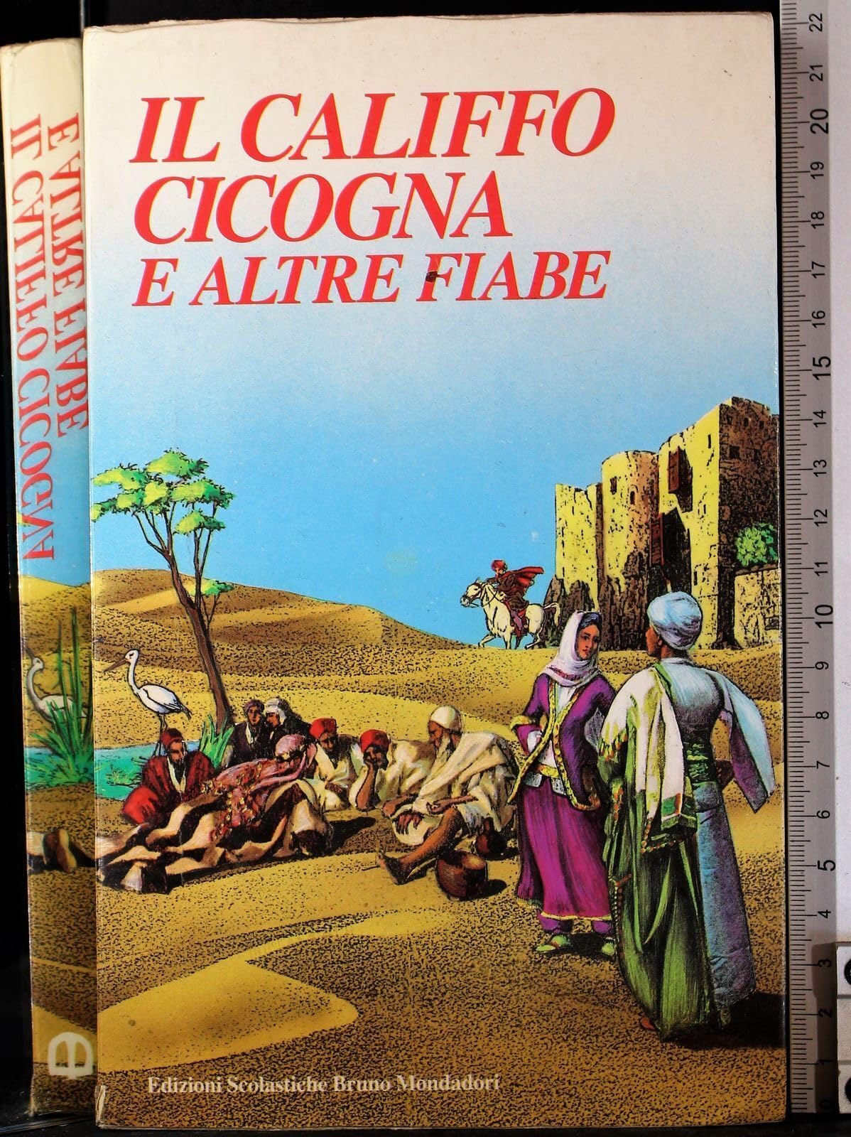 Il califfo Cicogna e altre fiabe book
