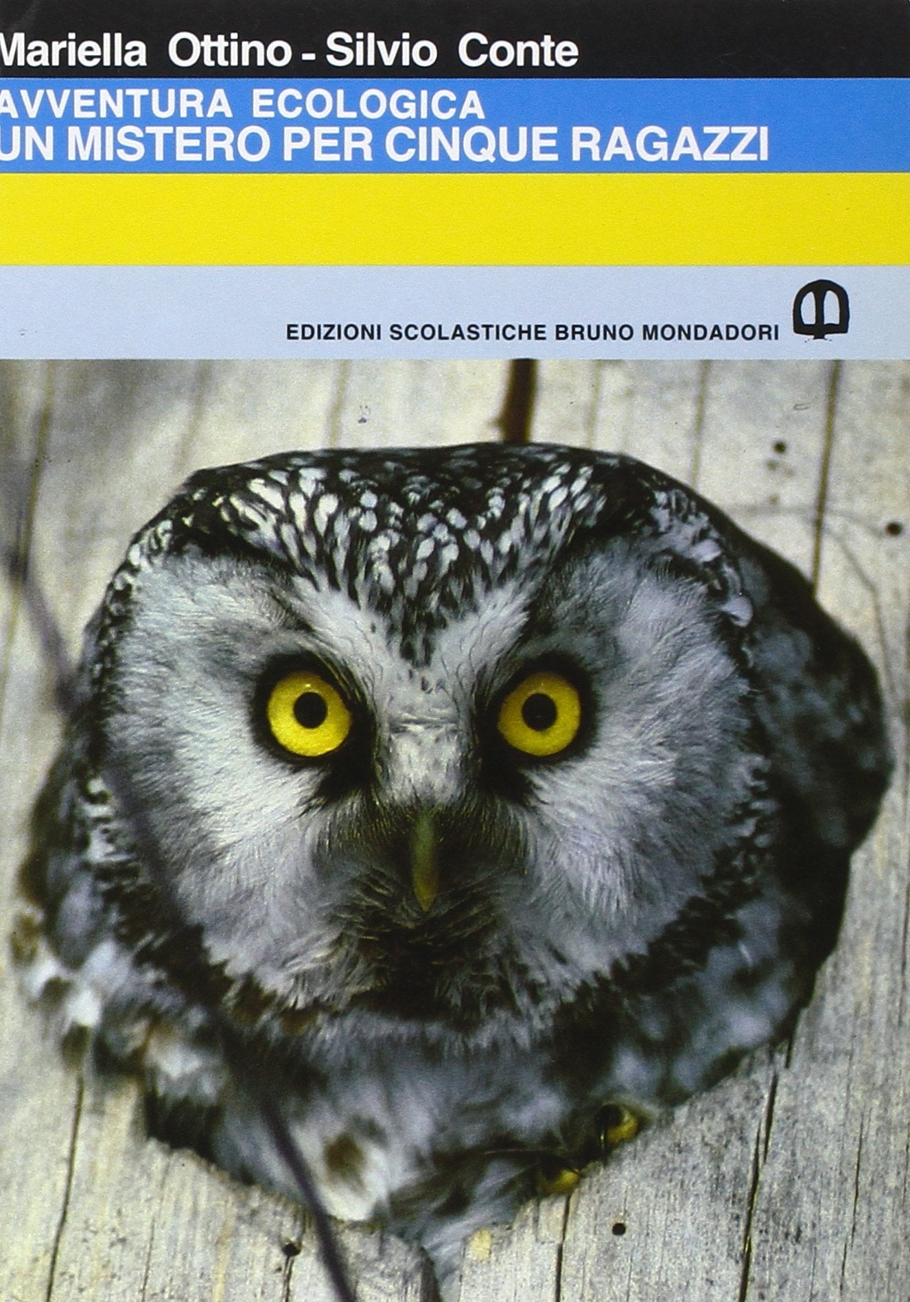 Un mistero per cinque ragazzi. Avventura ecologica Study Guides