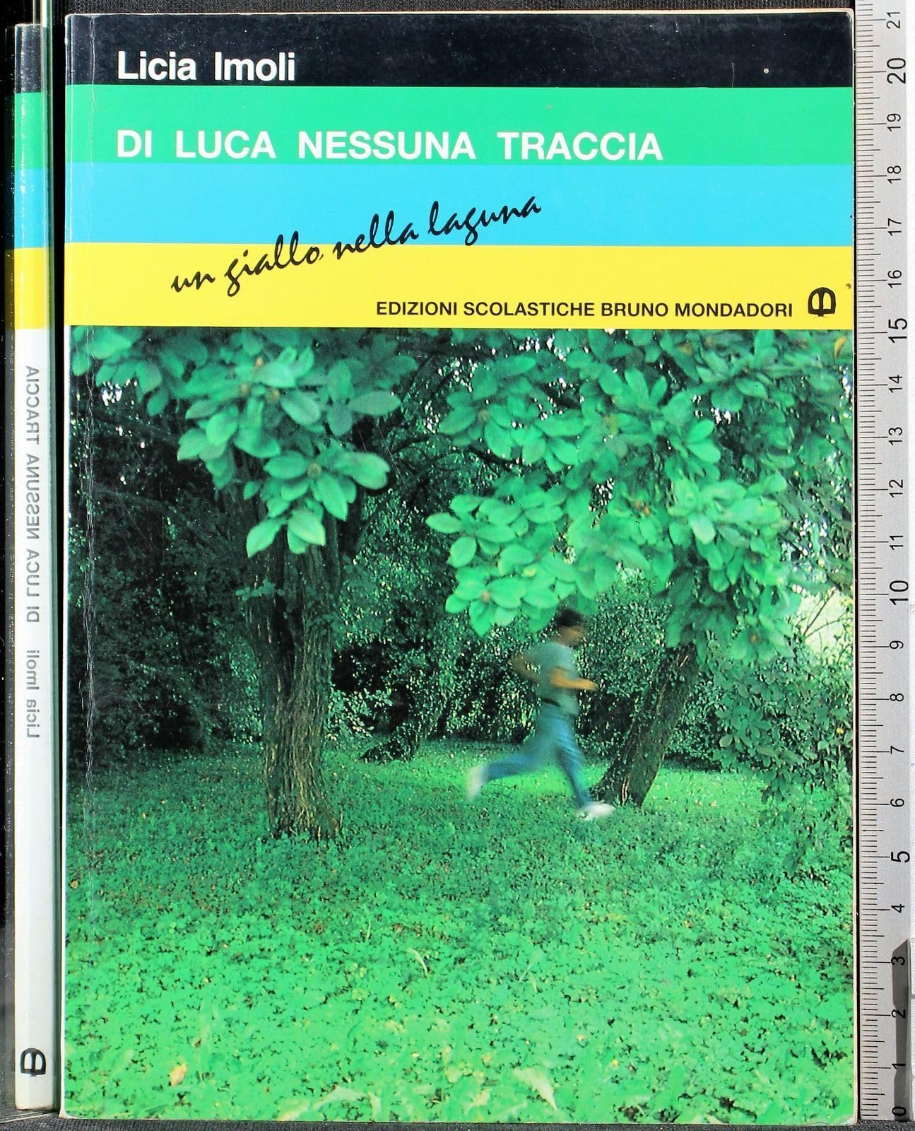 Di Luca nessuna traccia. Un giallo nella laguna book