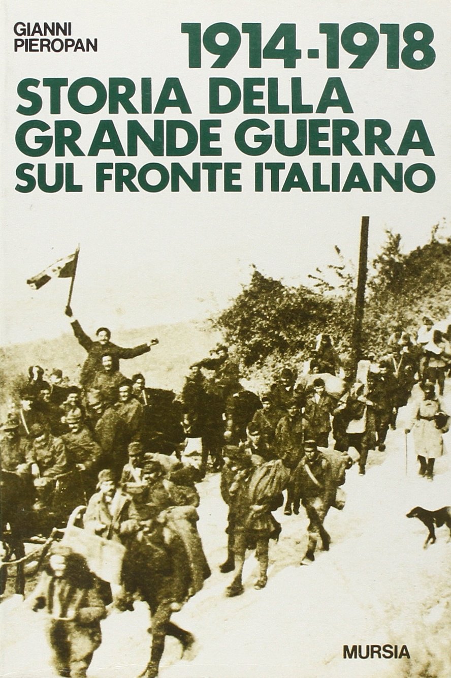 1914-1918. Storia della grande guerra sul fronte italiano book