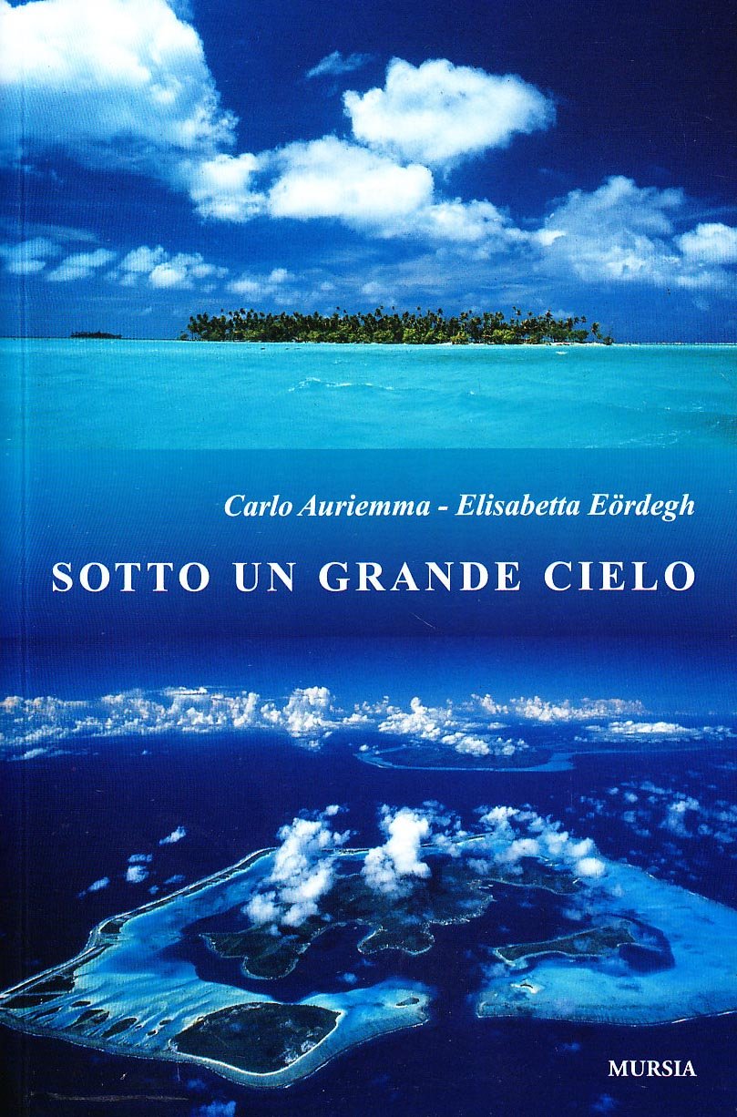 Sotto un grande cielo. Mille giorni di mare, di avventura e libertà. Due italiani, a vela, intorno al mondo (Biblioteca del mare. Crociere regate) Leisure, Home & Garden Books