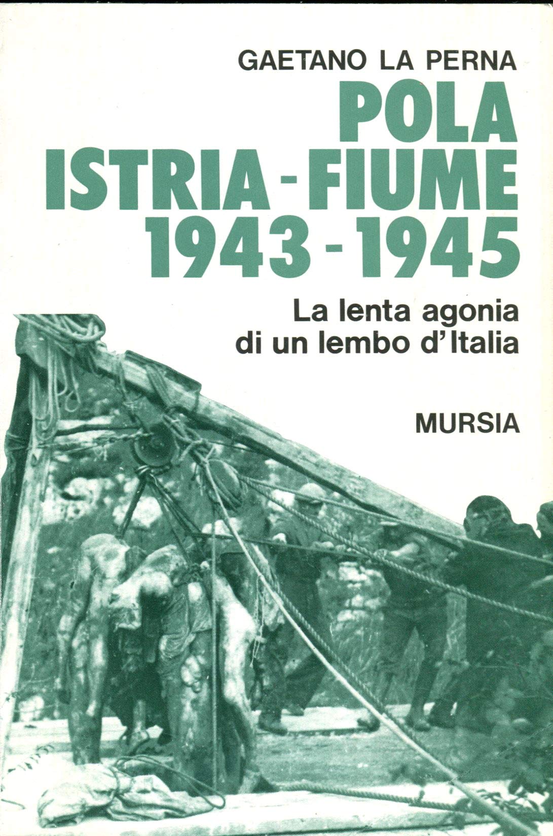 Pola Istria Fiume 1943-1945. L'agonia di un lembo d'Italia e la tragedia delle foibe (Testimonianze fra cron. e st. Guerre) Politics & History