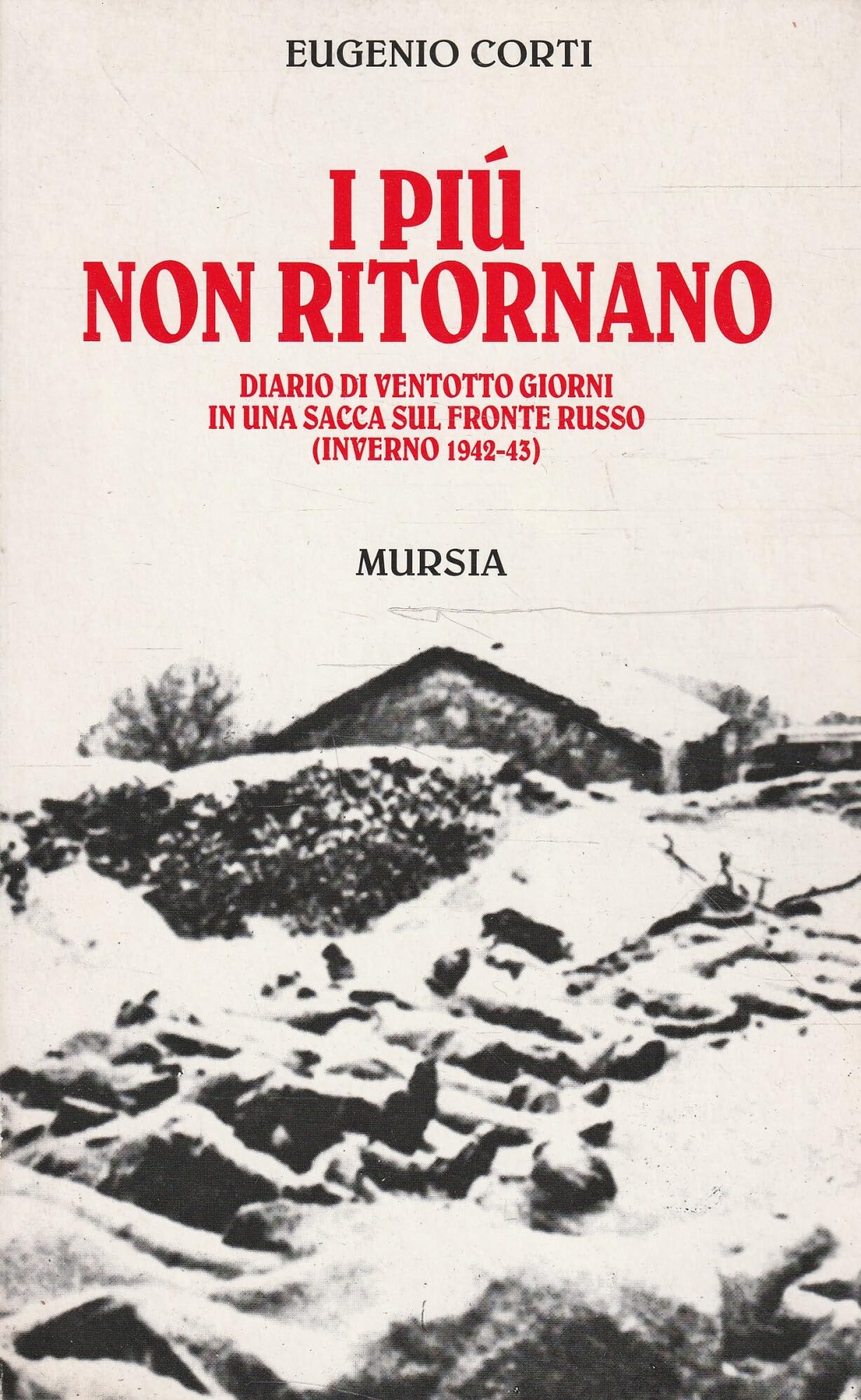 I più non ritornano. Diario di ventotto giorni in una sacca sul fronte russo (inverno 1942-43) book