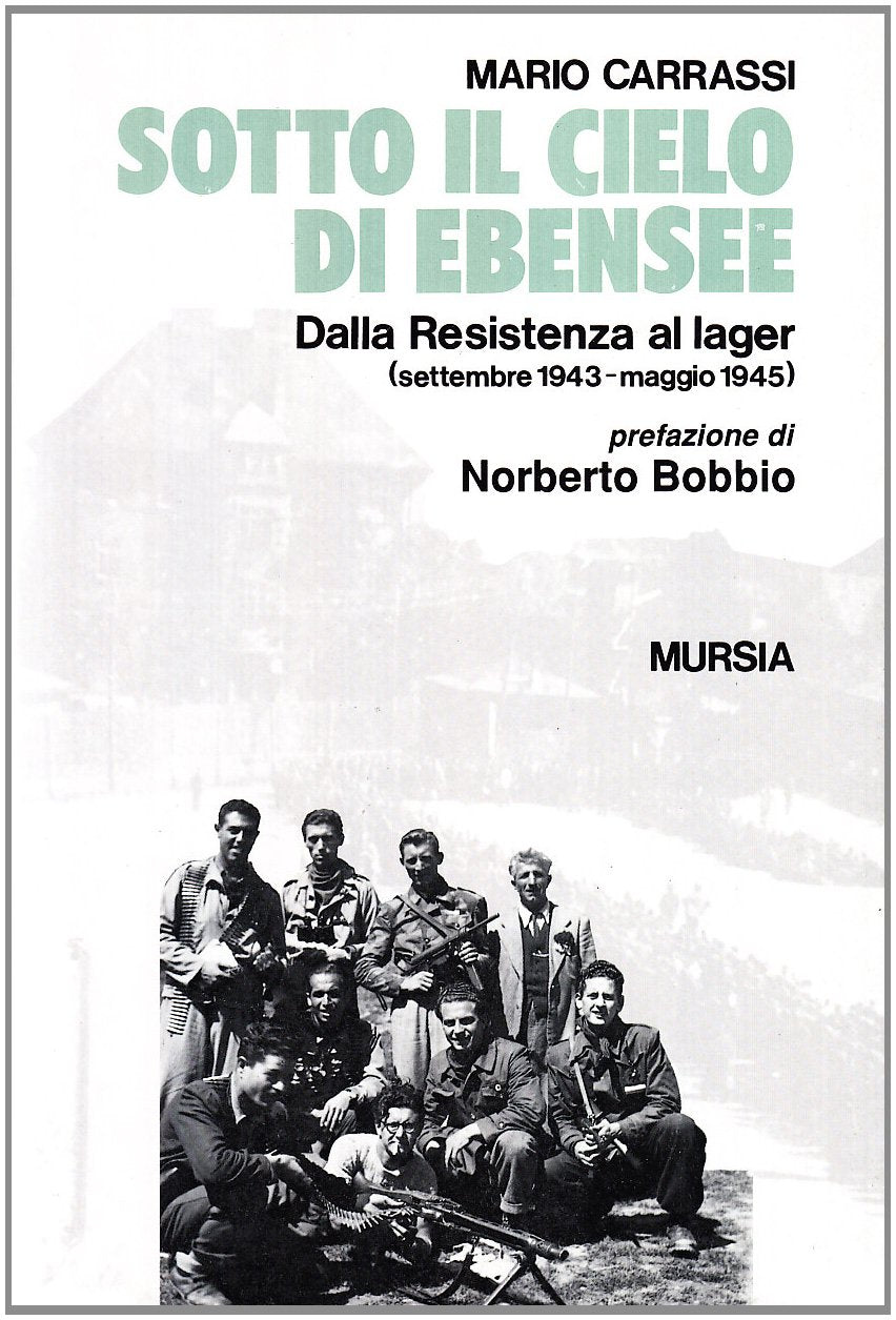 Sotto il cielo di Ebensee. Dalla Resistenza al lager (settembre 1943-maggio 1945) book