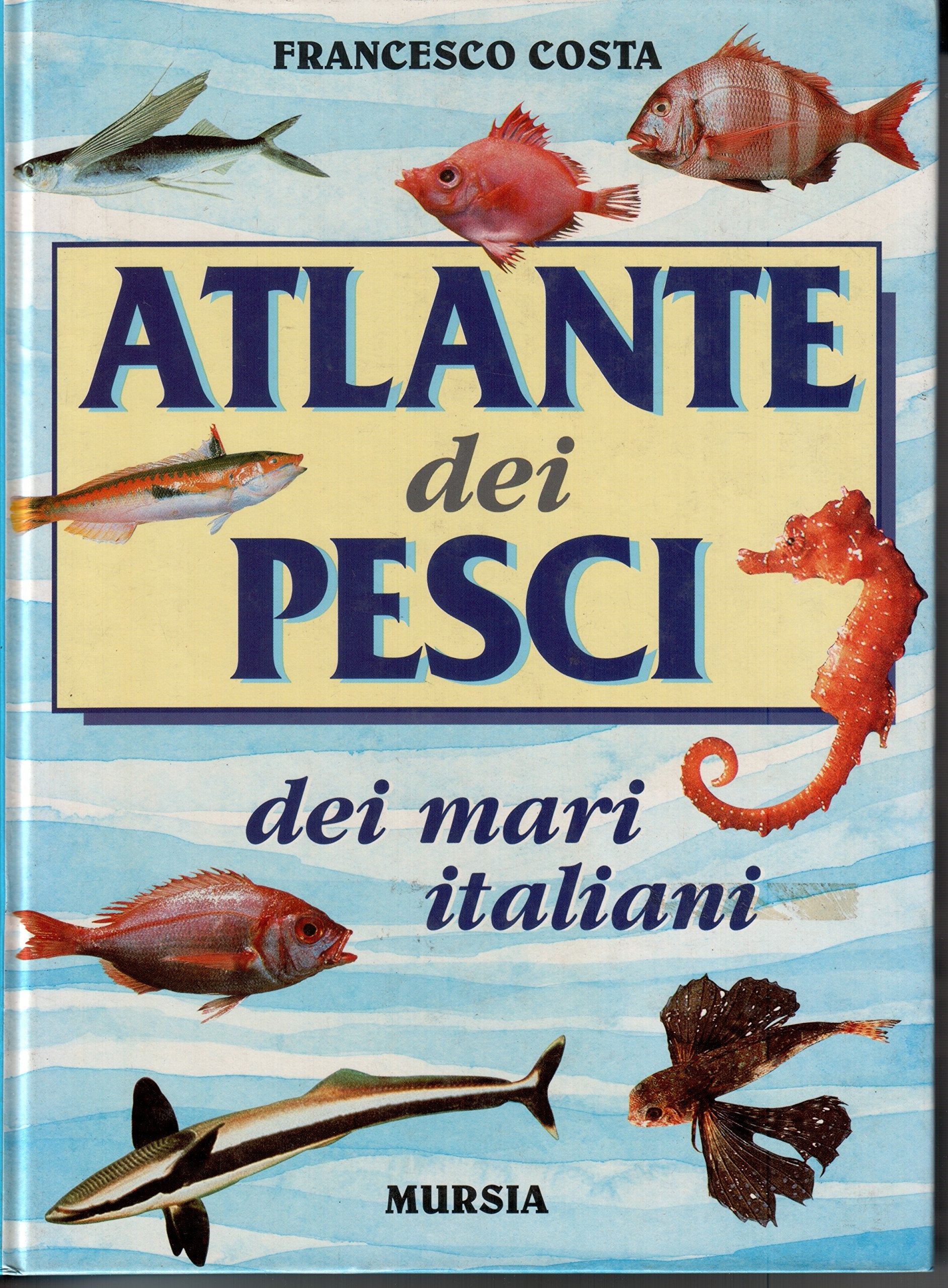 Atlante dei pesci dei mari italiani book