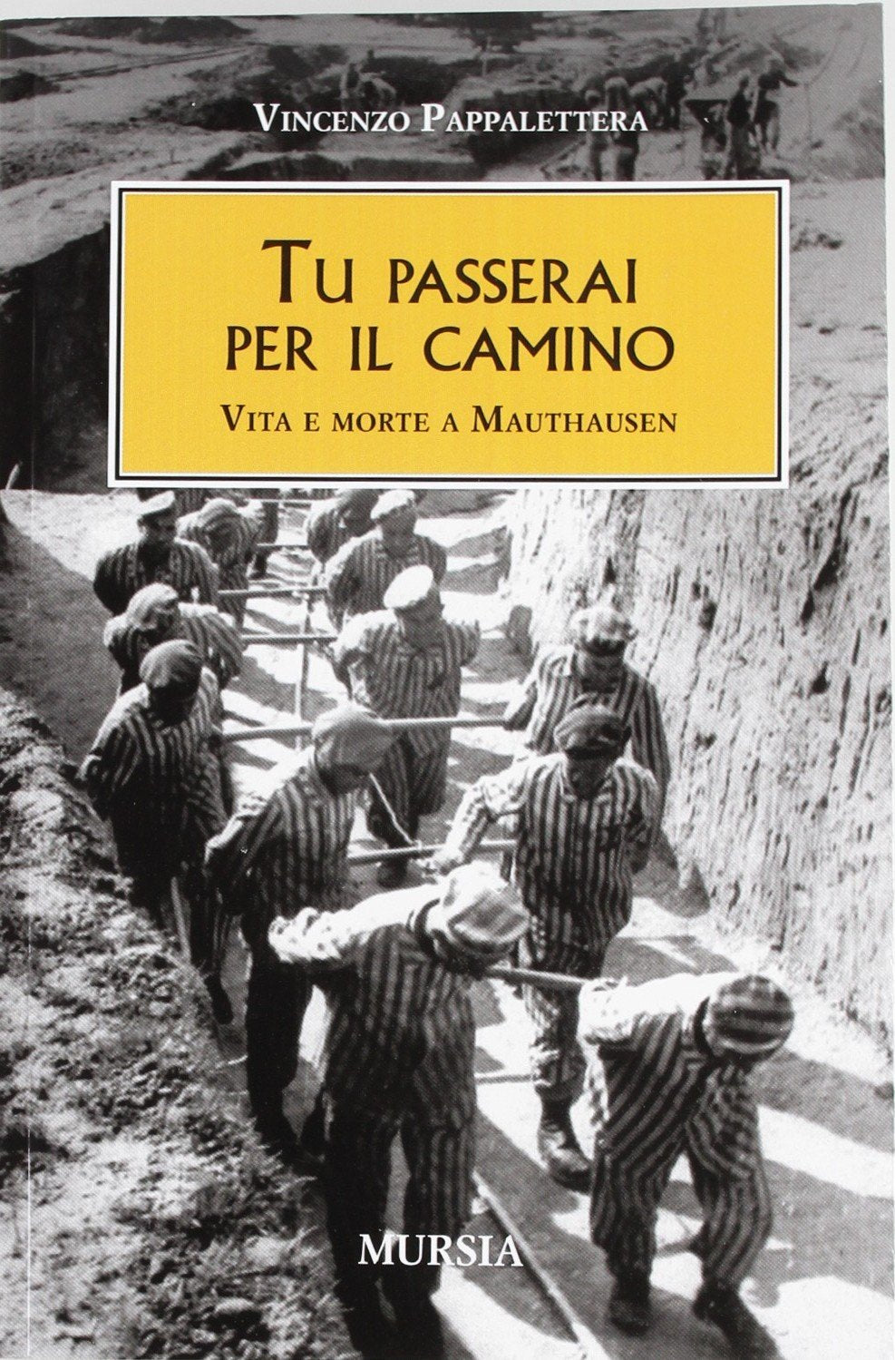 Tu passerai per il camino book