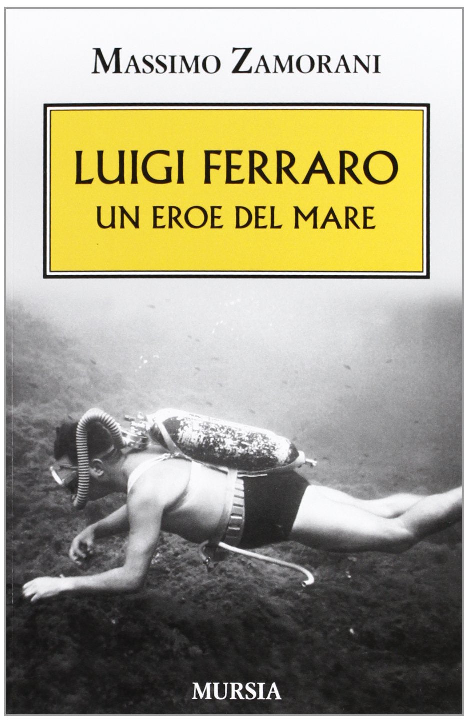 Luigi Ferraro. Un eroe del mare Social Sciences