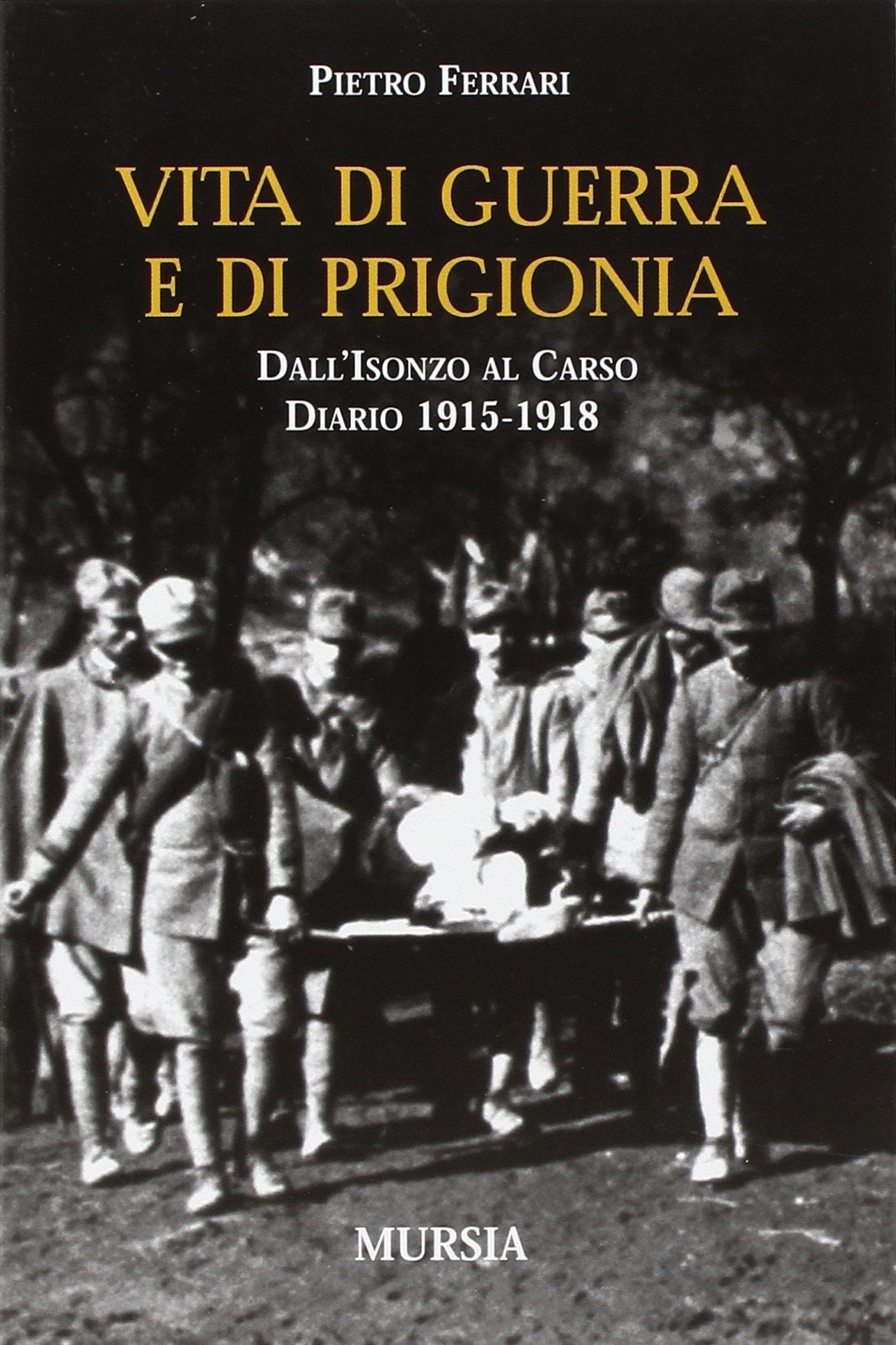 Vita di guerra e di prigionia. Dall'Isonzo al Carso. Diario 1915-1918 book