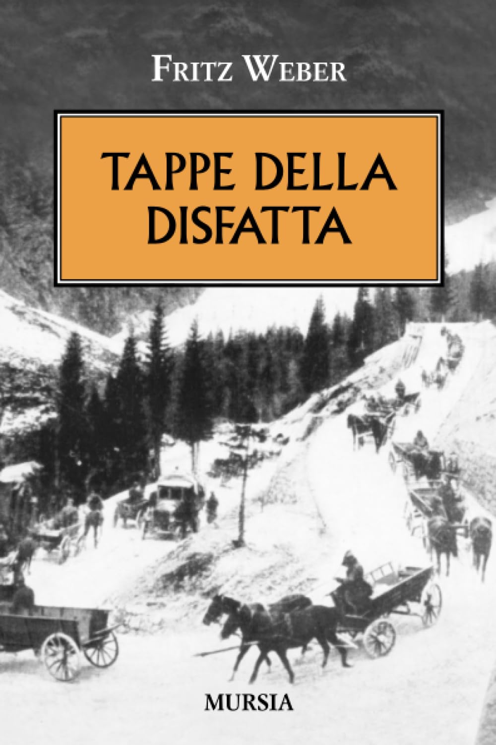 Tappe della disfatta (1914-1918. Prima guerra mondiale) Social Sciences