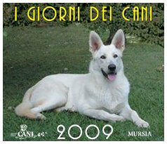 I giorni dei cani. Calendario 2009 (Felinamente & C.) Pets