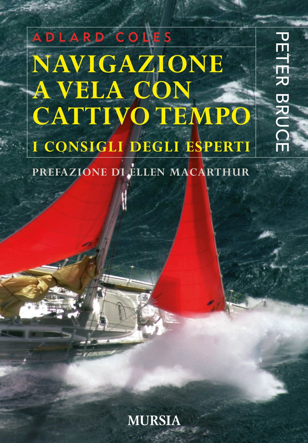 Navigazione a vela con cattivo tempo: I consigli degli esperti (Manuali, tecnica e sport) Leisure & Fun
